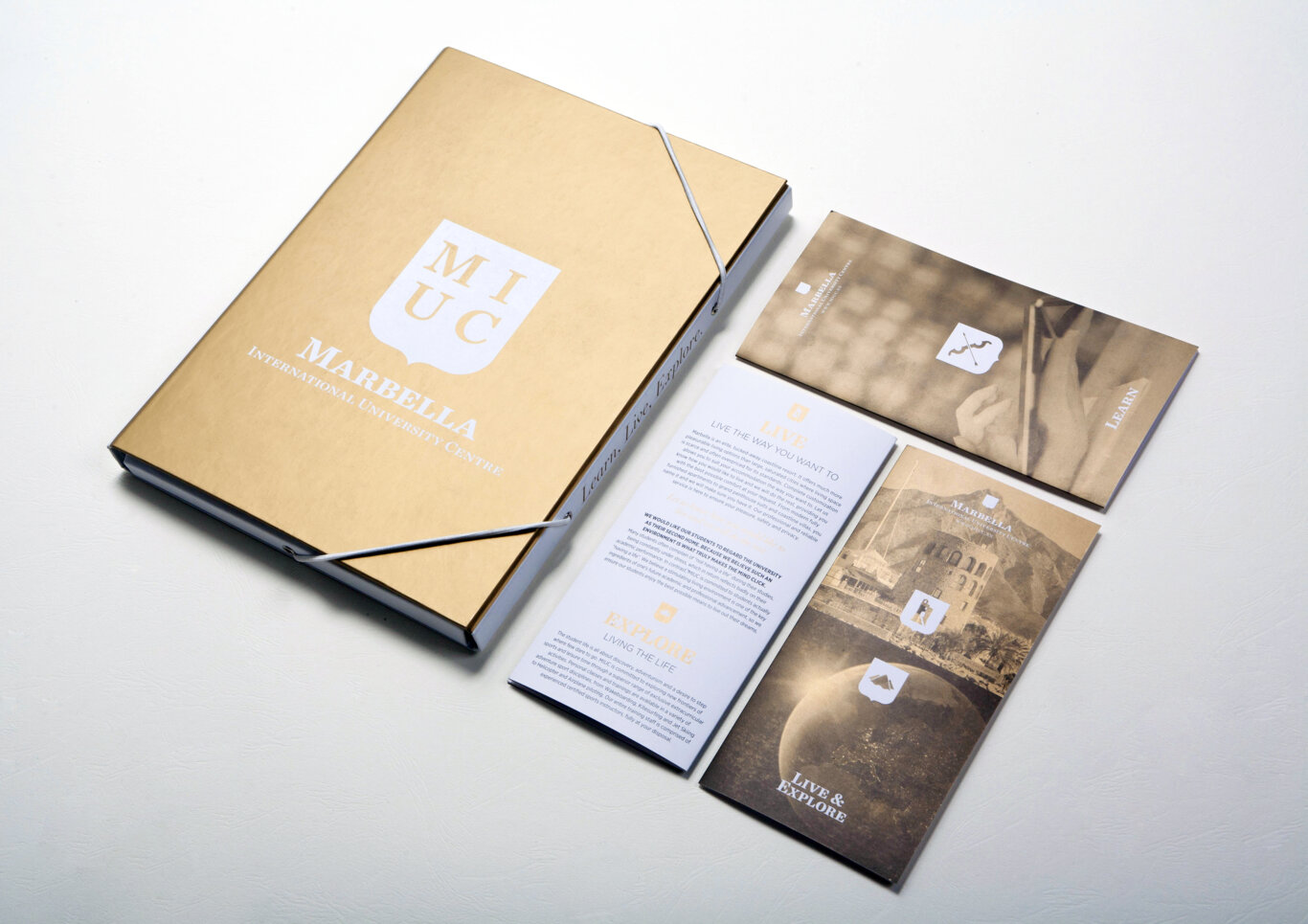 branding, visual identity, printed material, folder, brochure